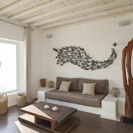Zebra Mykonos